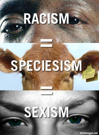 Racisme = Spécisme = Sexisme